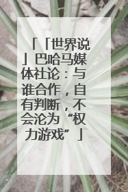 「世界说」巴哈马媒体社论：与谁合作，自有判断，不会沦为“权力游戏”